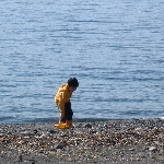 自学