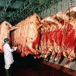 牛肉02
