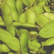 大豆02
