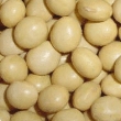 大豆04