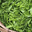茶02